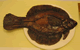 干しカレイ