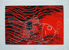 金魚