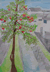 赤いリンゴの木