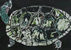 ぼくのカメ
