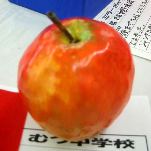 そっくり造形
