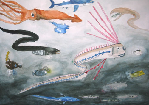 深海の生物