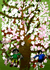 桜の花がさいたよ