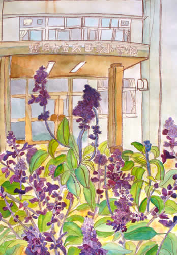 姫もどきの花