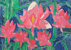 あざやかに咲いたサボテンの花