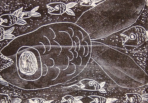 魚