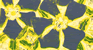 星の花