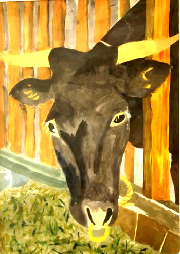 秋田の牛