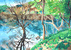 水に映える樹