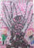 満開の桜