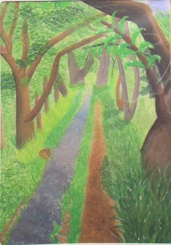 光の小路
