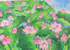 ハスの花