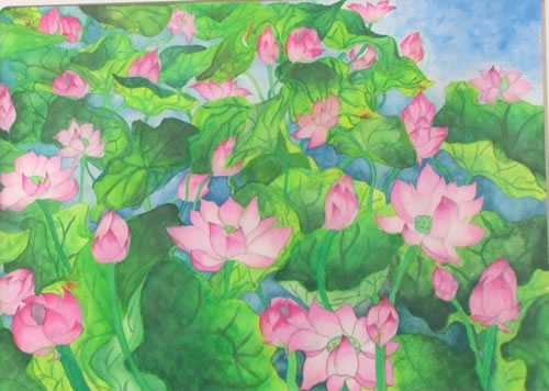 ハスの花