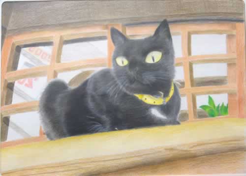 黒い猫