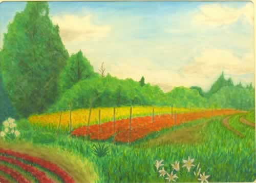 夏の風景