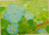 あおい花たち