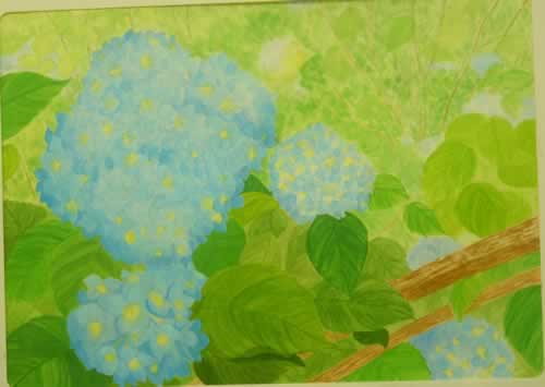 あおい花たち