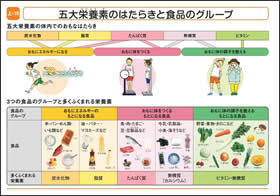 五大栄養素のはたらきと食品のグループ