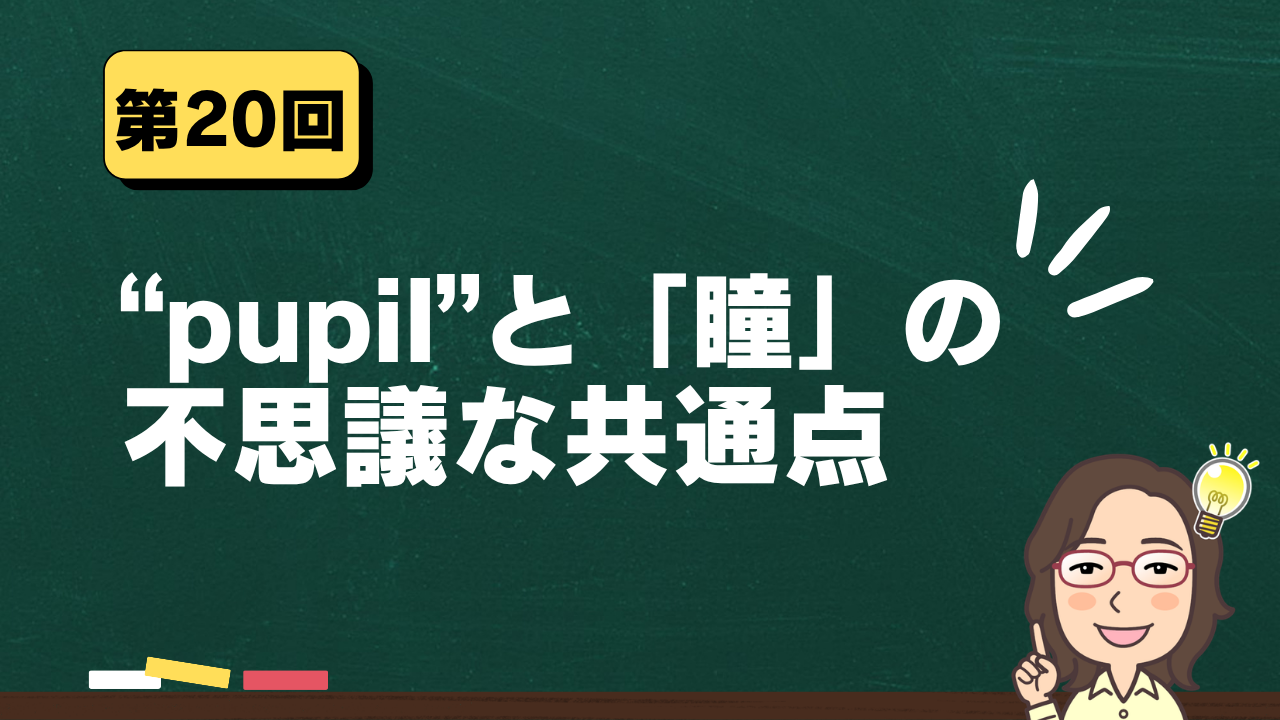 Sunshine英語部! 第20回