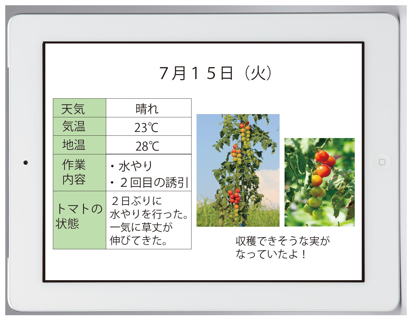 評価の視点