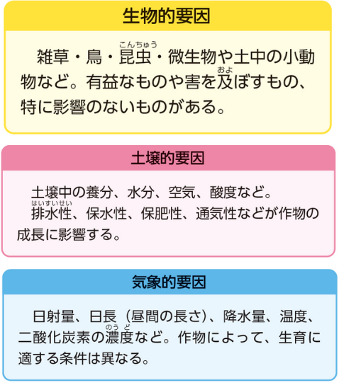 3つの要因