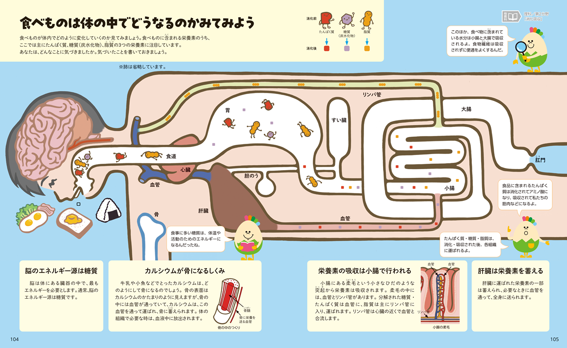 中学校教科書104・105ページ