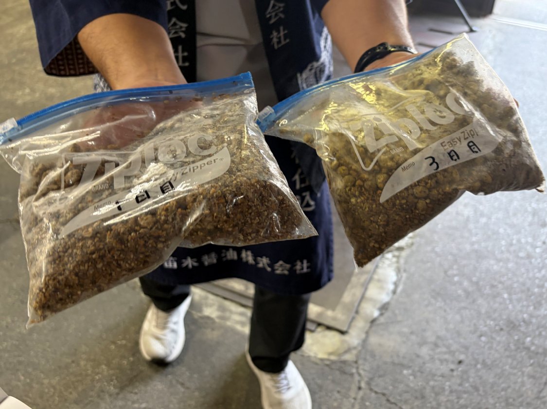 麹菌を振ってから1日目と3日目の麹