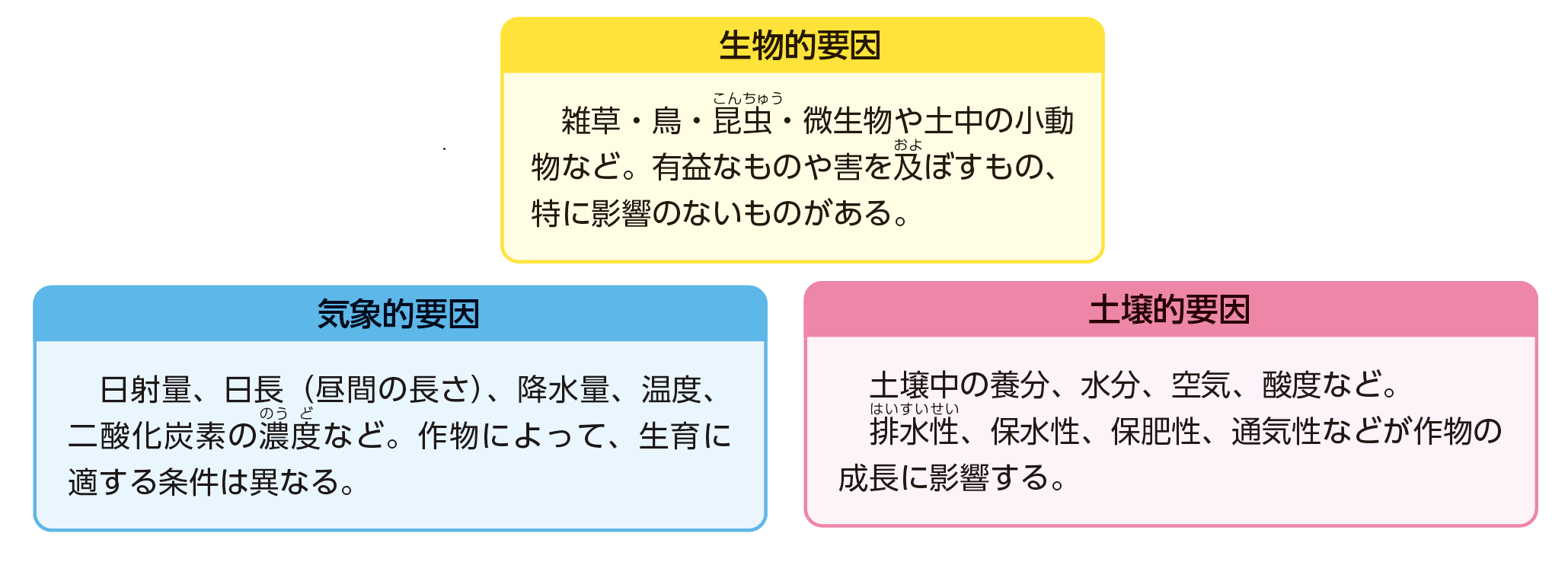 作物の育成に必要なキーワードの例（気象的要因・生物的要因・土壌的要因）