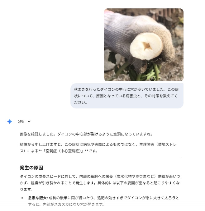撮影した写真について、生成AIに原因を確認する場面の例