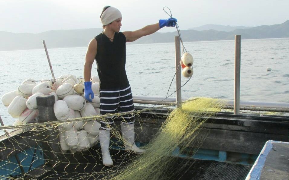 流し刺し網漁で網に浮きをつけて海に刺しこむようす