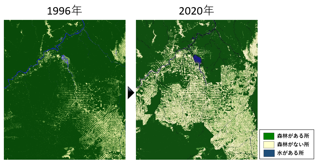 アマゾン熱帯林の比較（1996年と2020年）