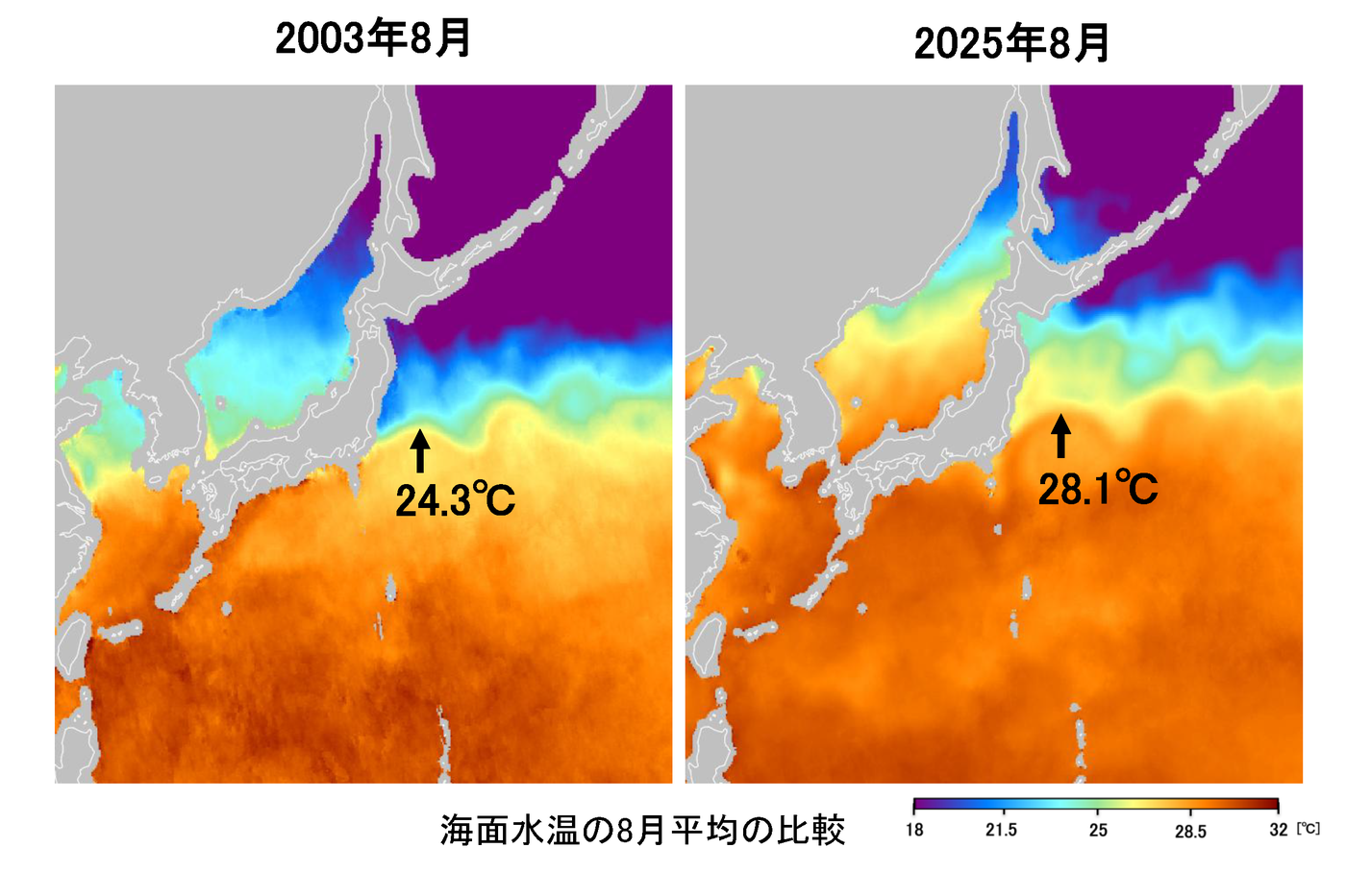 海面水温の比較（2003年8月と2025年8月）
